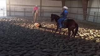 TFTC Ranch Roping Pasture Doctoring [upl. by Fanni]