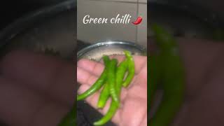 Restaurant Style Green chutney 🍃🌿punjabikhansama chutney greenchutney punjabikhansama [upl. by Bergeron877]