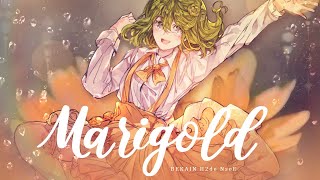 M2U  Marigold  Cover [upl. by Shirlie]