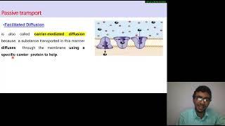 23 Cell biology  Biomolecules Transport  Passive  Active  Bulk mechanisms شرح بالعربي [upl. by Aralomo]