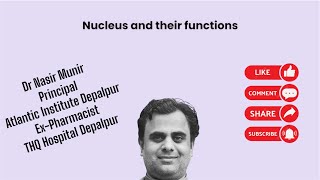 Nucleus and functions of Nucleus [upl. by Estrella]