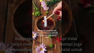 lilin aromaterapi youtubeshorts funfacts lilin [upl. by Druci597]