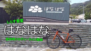 GIANT TCR ADVANCED 1 DISC KOM で行くしらす食堂はなはな② 愛媛県西宇和郡伊方町 [upl. by Onibla]