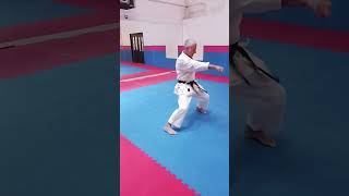 Sensei Luis MariaI Sanz  Highlights II [upl. by Adikam]