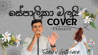 Sepalika Malai  Cover version by Seniru Githsara Original Song  Jayasiri Amarasekara [upl. by Yelnahs517]