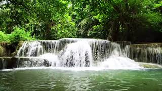 1saatlık Şelale Sesi Rahatlatıcı Muzık Ses 1 Hour of Waterfall Nature Sounds Relaxing [upl. by Aklim854]