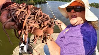 Fishing With Worms amp Bobbers For Bluegill [upl. by Dihsar]