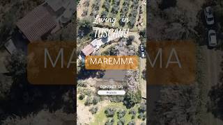 For SALE near Castiglione del Pescaia Tuscany Maremma area tuscanyvilla realestate tuscany [upl. by Arch]