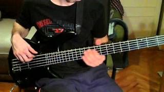 Beyond Creation  Omnipresent Perception  FRETLESS BASS cover [upl. by Riana]