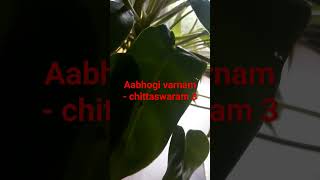 Aabhogi varnam  chittaswaram 3 Evari bodhana Aabhogi Raga Varnam Aadhi Thalam Tana Varnam [upl. by Suirauqed664]