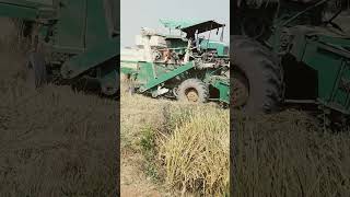 John deere harvester 2024 harvester farming padi raita [upl. by Nellie33]