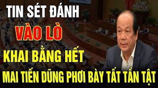 TIN SÉT ĐÁNH bộ trưởng mai tiến dũng vào lò đã khai ra trùm cuối phơi bày sự thật động trời [upl. by Perrie]