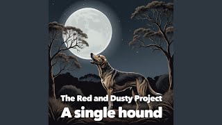 A single hound [upl. by Icat]