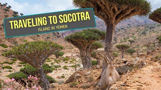 SOCOTRA Island in Yemen [upl. by Ehrlich]