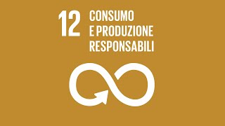 Agenda 2030 Obiettivo 12 Consumo e produzione responsabili [upl. by Dewain142]