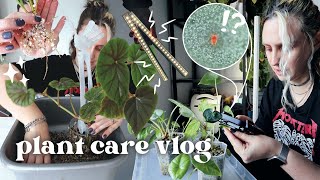 checking for pests setting up grow lights amp potting up props 🪴 Plant Chores Vlog [upl. by Pickens407]