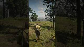 RDR2 Rare random event with the Pinkertons shorts rdr2 arthurmorgan reddeadredemption [upl. by Ardnosac]