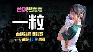 【台鋼黑嘉嘉quot一粒quot登場】台鋼雄鷹挖到寶，天天都是粒保樂園 [upl. by Zanas]