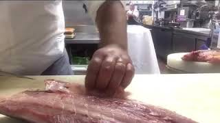 How to fillet the Amberjack Hamachi [upl. by Matheson]