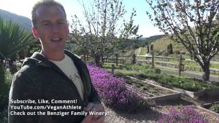 Sonoma Valleys Greatest Vineyard  Benziger Family Winery [upl. by Idnam]