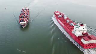 Ships entering the port of Antwerpen October 2017 [upl. by Collier]