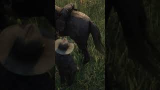 RDR2  How to clean a horse shorts rdr2 [upl. by Elvyn]