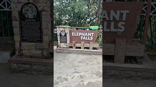 Elephant Falls shorts viralvideo ytshortsindia waterfall shortsfeed [upl. by Brier]