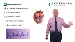 Arritmias Cardiacas  Demo curso cardiología veterinaria [upl. by Firahs]