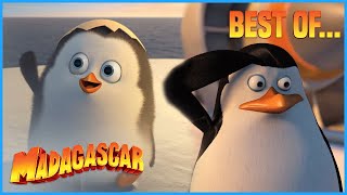 Best of Private Penguin  Penguins of Madagascar  Mini Moments [upl. by Benoite262]