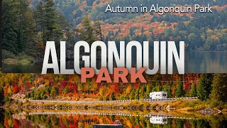 Algonquin Provincial Park [upl. by Kcirdor795]