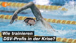 So bereiten sich Deutschlands TopSchwimmer amp Schwimmerinnen auf Olympia vor  SPORTreportage  ZDF [upl. by Niveg]