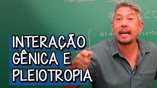 O que é Interação Gênica  Extensivo Biologia  Descomplica [upl. by Nnaira695]