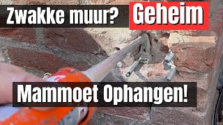 Muur te zwak Geheime truc om aan alle zwakke muren een mammoet op te hangen [upl. by Euginimod]