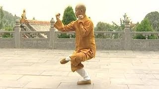 China Shaolin Temples Secret Training Camp [upl. by Florry]