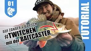 BAITCASTER 1x1 Twitchen auf XLBarsche [upl. by Ancier]