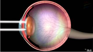 Structure and Working of Human Eye [upl. by Ninnahc]