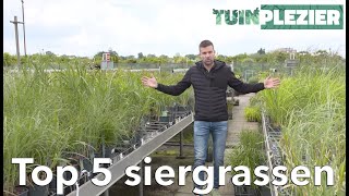 Arjans Top 5 siergrassen  TUINPLEZIER [upl. by Albert]