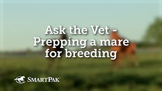 Ask the Vet  Prepping a mare for breeding [upl. by Sartin]