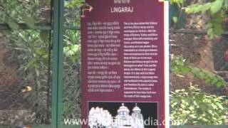 Pujaris of Lingaraj Temple in Bhubaneswar Odisha [upl. by Akehsat]