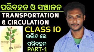 ପରିବହନ ଓ ସଞ୍ଚାଳନ TRANSPORTATION AND CIRCULATION class 10 life science chapter3 in odia  Part1 [upl. by Berliner]