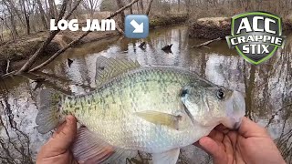 CRAPPIE Fishing From The Bank 🪵 You Won’t Believe The Size of These CRAPPIE 💥  Creek CRAPPIE‼️ [upl. by Atirma659]