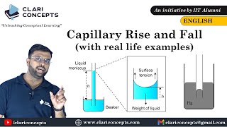 Capillary Rise and Fall explained with real life example English [upl. by Dlorrej]