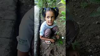 Save Tree🌱 Save Life🌍🥰 savetreesavelife plants tree youtubeshort shortvideo shejaljena [upl. by Sutherlan]