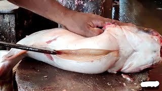 Pangas New Style Cutting  Giant Pangas Fish Cutting Live In Fish Market  Big Pangas Fish Cutting [upl. by Reede827]