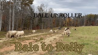 EP 76  Why Bale Unrolling is BEST  Everyone Eats [upl. by Jemmie682]