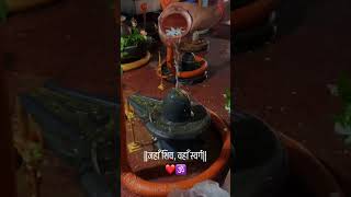 deoghar jayba toh dukhwa dur hoy ho 🙏🥺shivshakti [upl. by Karrah709]