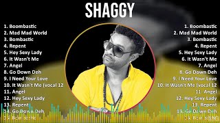 Shaggy 2024 MIX Best Songs  Boombastic Mad Mad World Bombastic Repent [upl. by Airrotal]