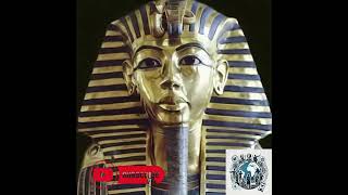 Tutankhamon Alla Scoperta del Faraone Bambinohistory egitto faraonishorts [upl. by Roderic]