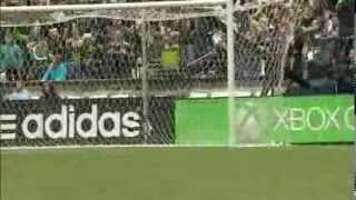 Jermain Defoe Goals  March 17 2014 [upl. by Siurad]