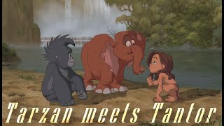 Tarzan meets Tantor  Tarzan HD [upl. by Loutitia67]